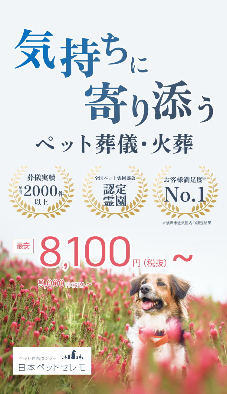 気持ちに寄り添うペット葬儀・火葬 最安14,000円(税込)〜