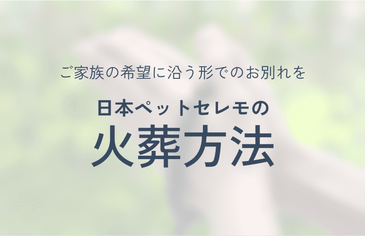 ご家族の希望に沿う形でのお別れを 日本ペットセレモの火葬方法